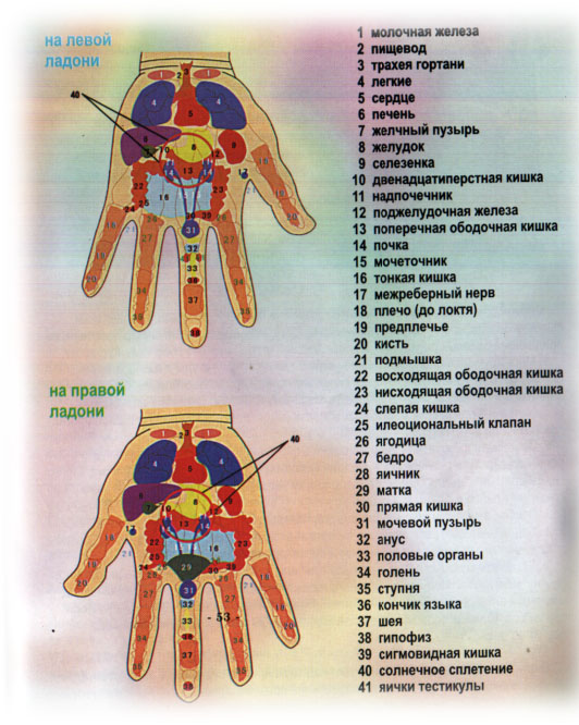 hands (532x666, 110Kb)