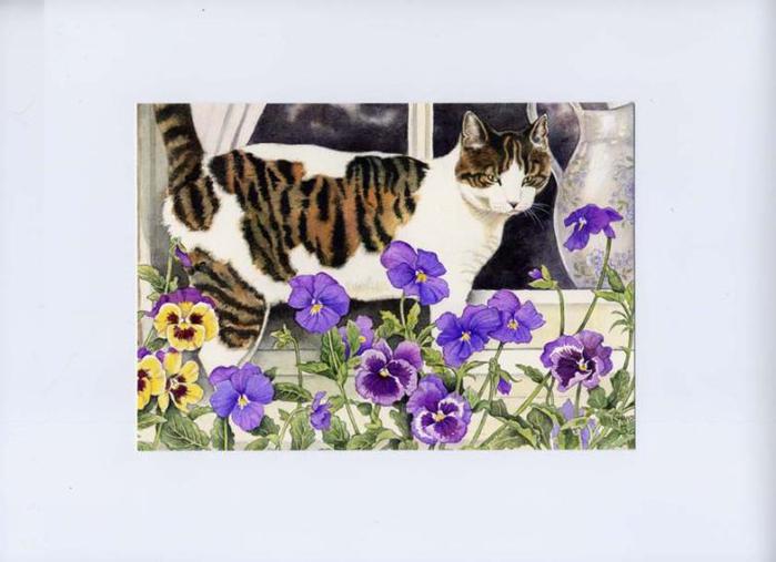 bourton_cat_pansies-758x550 (700x507, 42Kb)