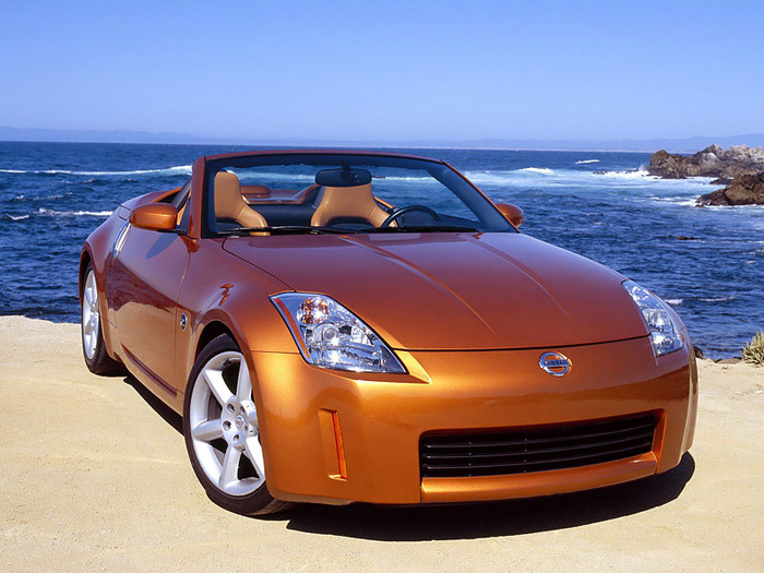 4170780_350z1_1_ (700x525, 128Kb)