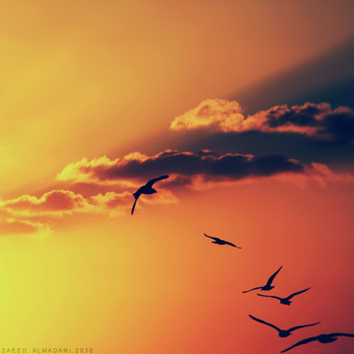 Distance_by_Qa9ed2000 (500x500, 64Kb)