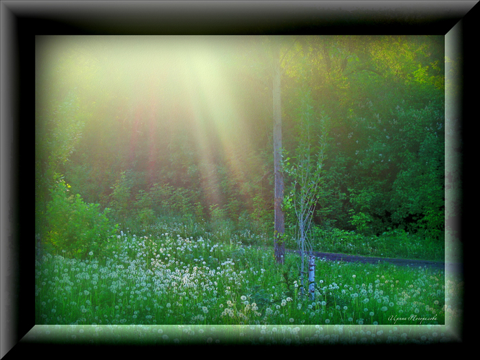 IMG_0048 (700x525, 414Kb)