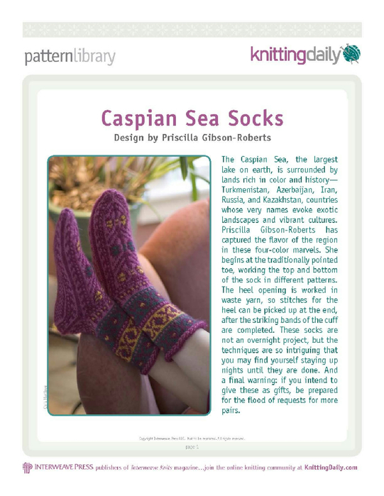 Caspian_Sea_Socks_a_1__Page_1 (541x700, 298Kb)