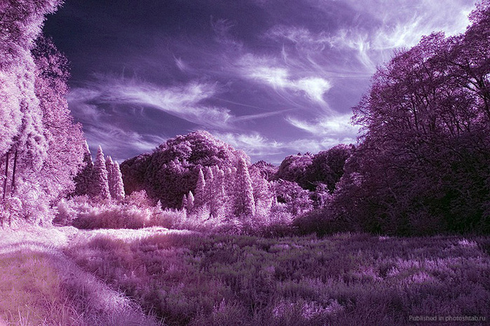 78878962_large_18 (700x465, 185Kb)