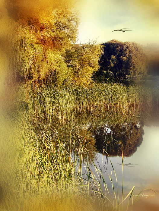 DSCF36193 (527x700, 242Kb)
