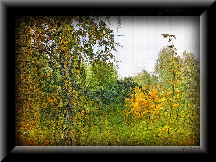 DSCF3738-1024 (700x525, 228Kb)