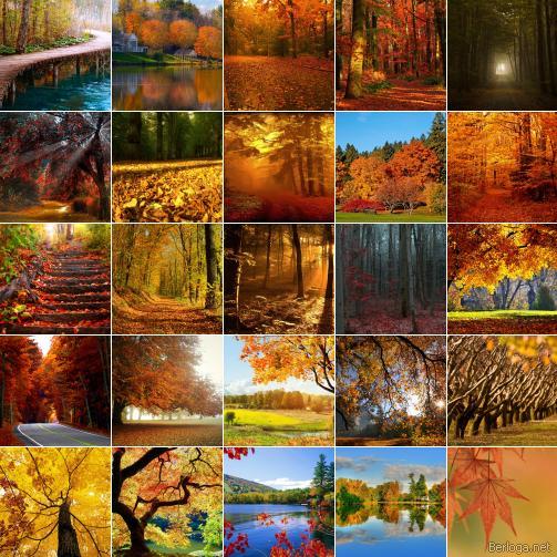 berloga.net_2096829743 (503x503, 75Kb)