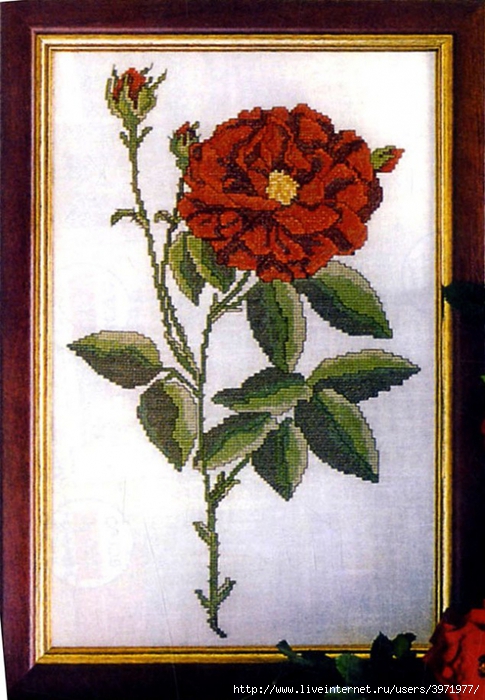 3971977_Kopiya_29 (485x700, 277Kb)