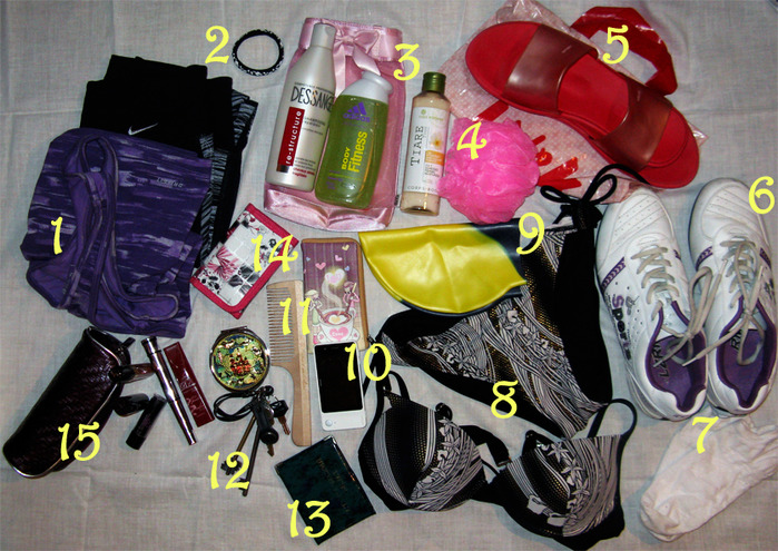 1082966_IMG_6380 (700x495, 171Kb)