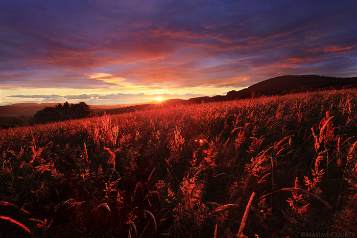 glowing_red_by_maximecourty-d3hrq7v (700x466, 160Kb)