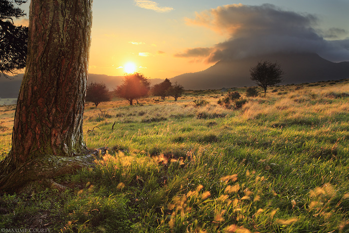 sleeping_volcano_by_maximecourty-d45mva6 (700x466, 200Kb)