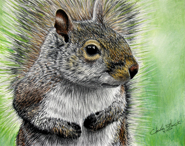 Mr__Squirrel_by_eidolic (600x476, 490Kb)