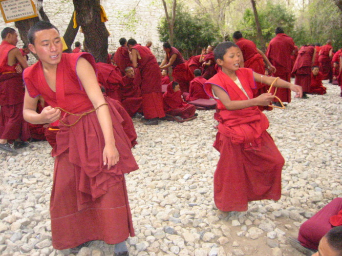 Young_monks_of_Drepung (700x525, 156Kb)