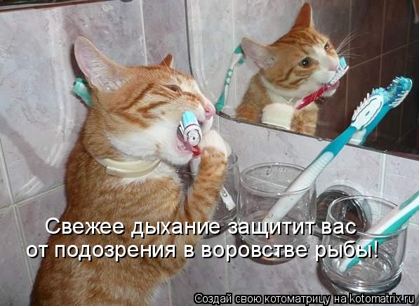 4326608_1017090 (597x436, 50Kb)