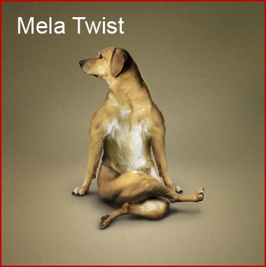 dog-yoga-calendar5 (388x389, 84Kb)