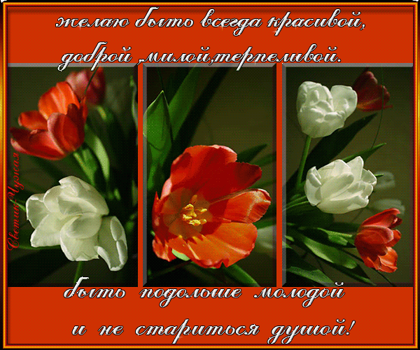Лада с днем рождения открытка, красивые