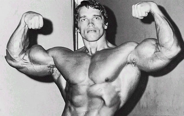 1319289789_arnold_schwarzenegger_09 (638x402, 60Kb)