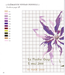  Clematite 1 (600x700, 252Kb)