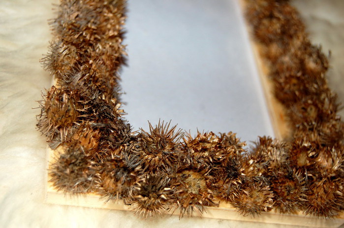 3392780_DSC_9602 (700x465, 98Kb)