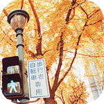 1373608_osen (150x150, 64Kb)
