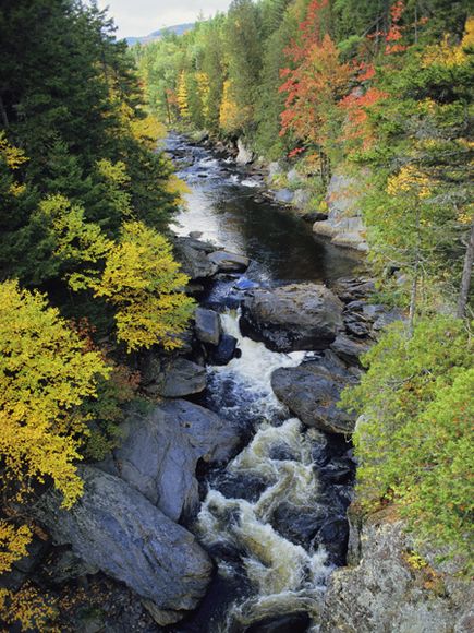 autumn-colors-maine (435x580, 80Kb)