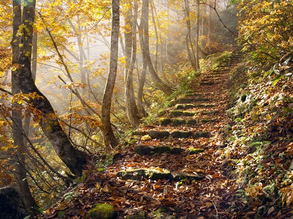 autumn-colors-natagiri-pass (600x450, 105Kb)