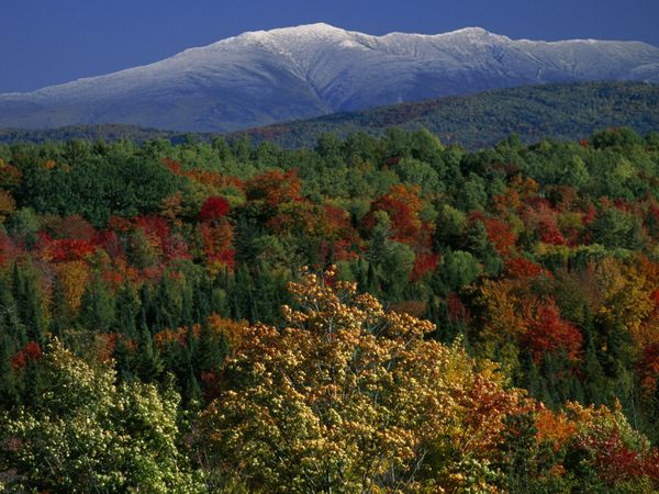 autumn-colors-white-mountains (600x450, 70Kb)