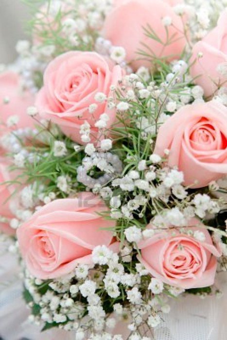 2276575-wedding-bouquet-from-pink-roses-close-up (467x700, 70Kb)