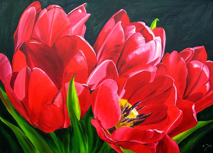 red-tulips (680x489, 86Kb)