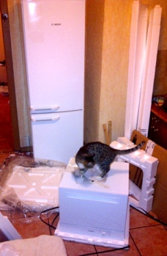 IMG-20111027-01203 (244x374, 48Kb)