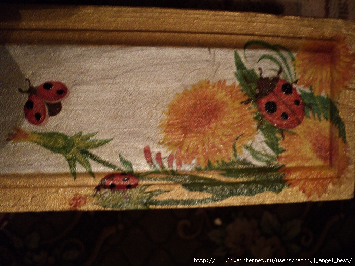 DSC00562 (700x525, 285Kb)
