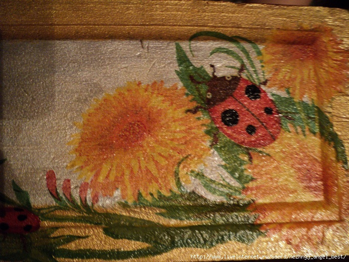 DSC00563 (700x525, 329Kb)