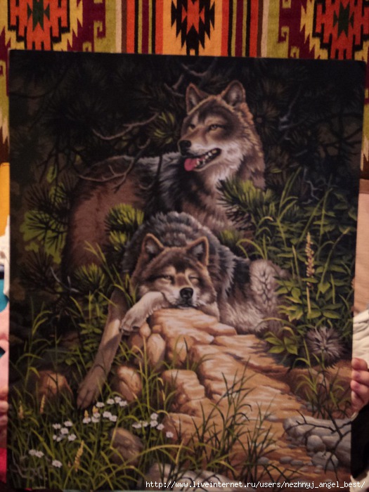 DSC00624 (525x700, 209Kb)