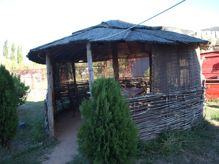 P1016312 (700x525, 270Kb)