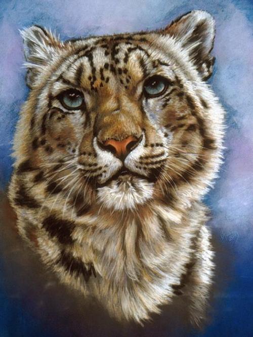 41414041_jewelbarbarakeith (500x666, 59Kb)