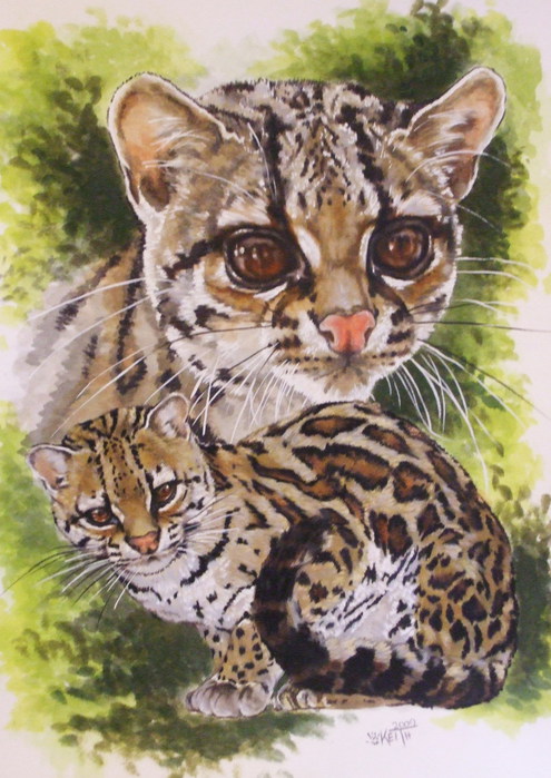 Bantam_10x14WC-CP_2009 (495x700, 111Kb)