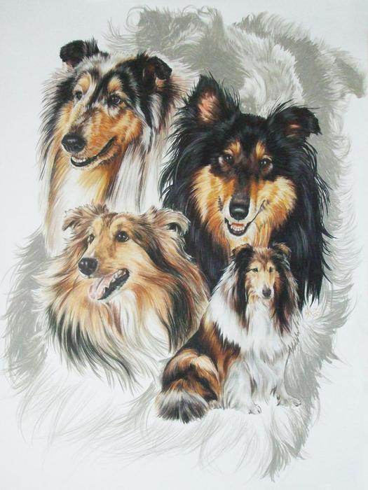 Collie_wGhost_19x24WC-CP_2009 (525x700, 59Kb)