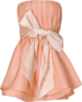  CAJ.SCR.FR KIT PINK-FASHION 34 (397x490, 285Kb)