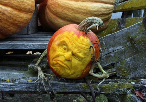 1178320_721_507_source (512x360, 84Kb)