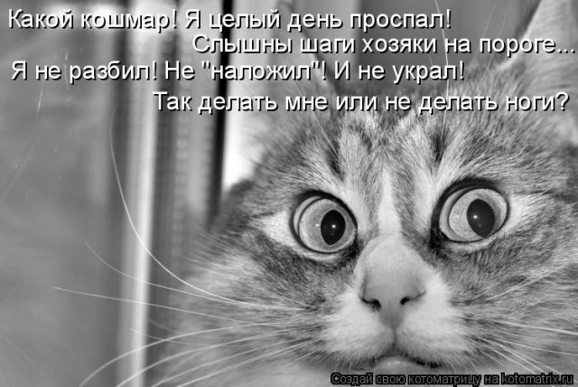 6b4f5f49ba58228fad5cd0b66034ebcc (640x428, 74Kb)