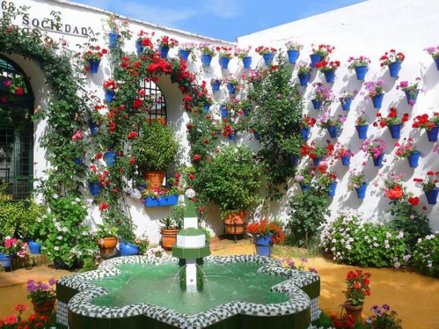 Patio_Cordobes_2 (640x480, 85Kb)