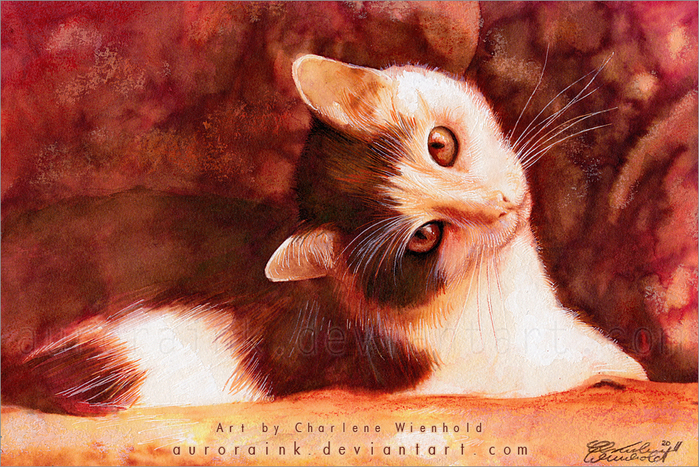 Картины акварелью, акварели с кошками, рисунки кошек акварелью