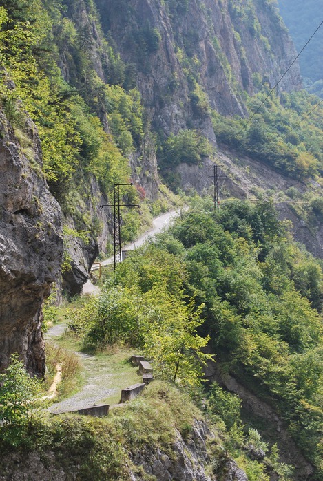 DSC_3273 (469x700, 172Kb)