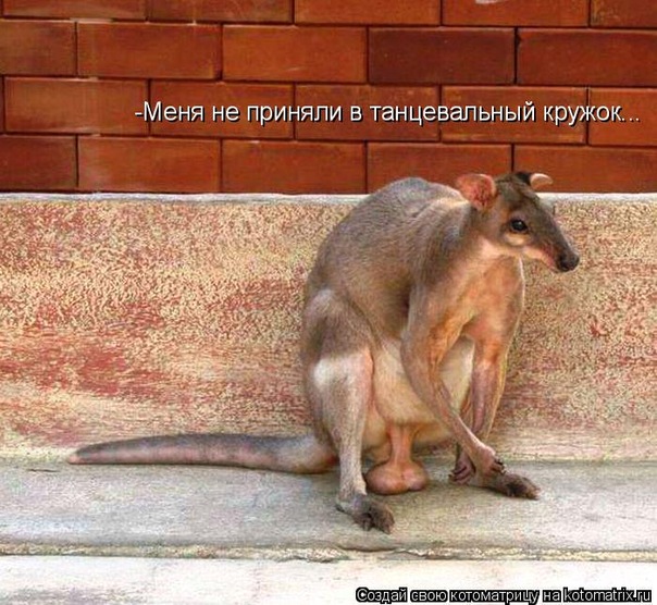  ))))))))) (604x556, 125Kb)