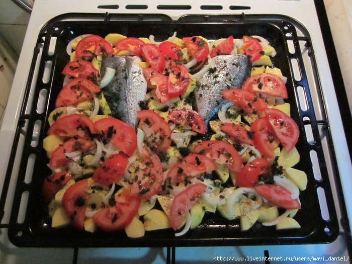 IMG_0858 (700x525, 281Kb)