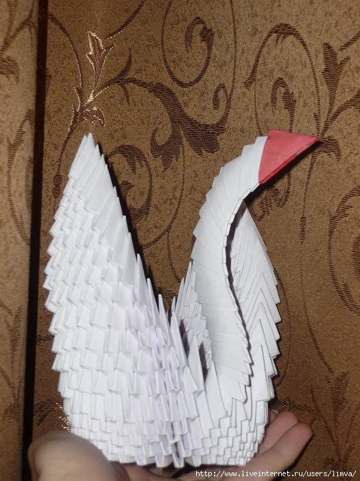 P1110080 (525x700, 270Kb)