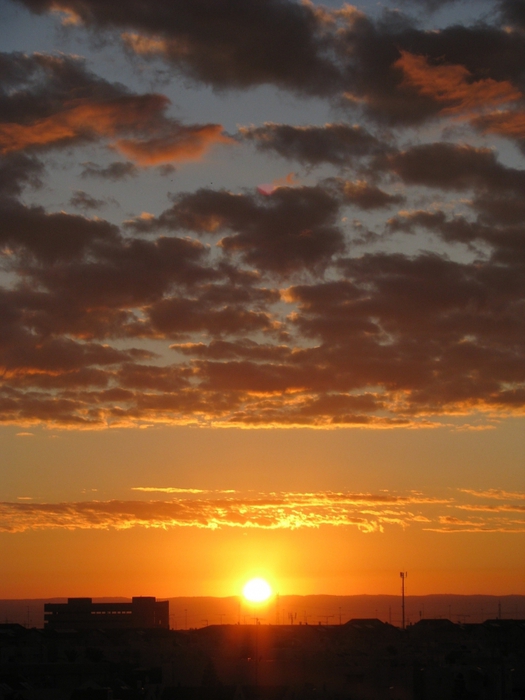 1682101_IMG_7951 (525x700, 215Kb)