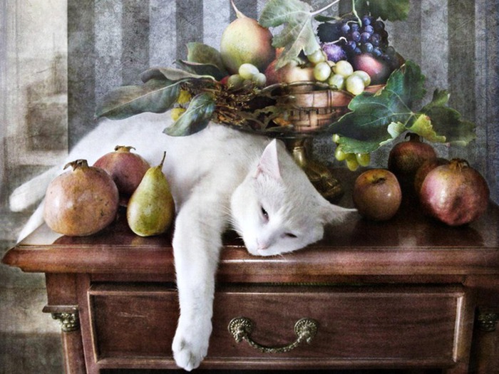 http://img0.liveinternet.ru/images/attach/c/4/79/627/79627580_large_283830.jpg