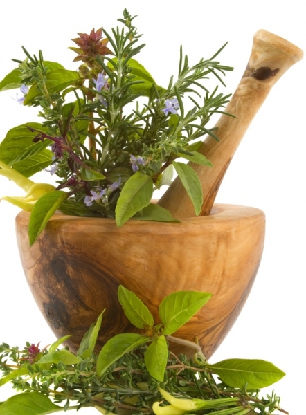 17727310phytotherapie-plantes-medicinales-jpg (442x600, 198Kb)