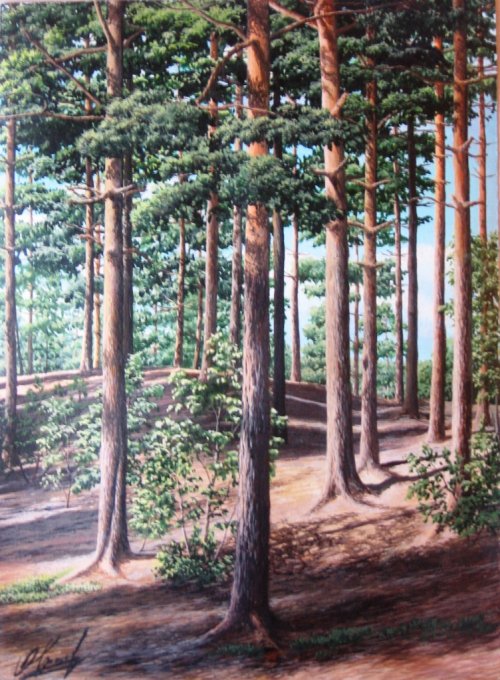118 (500x680, 106Kb)