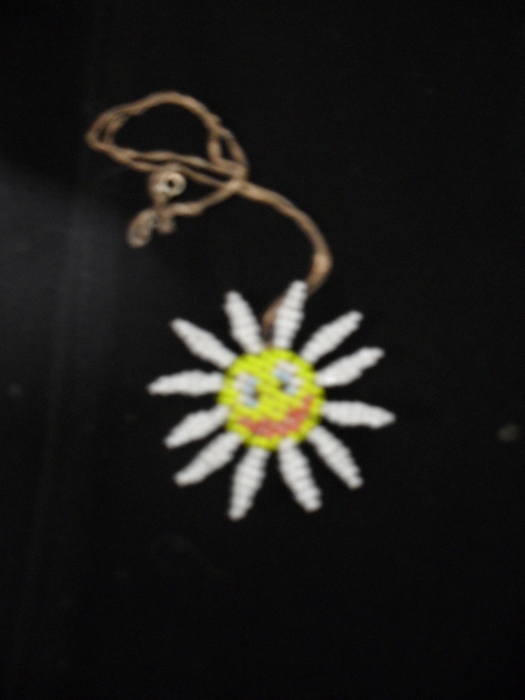 SDC14906 (525x700, 179Kb)